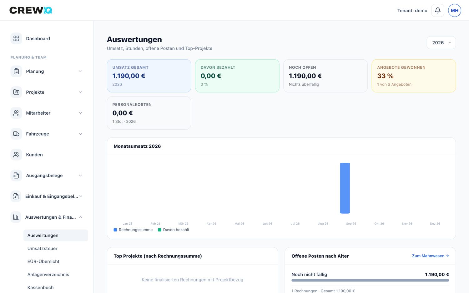 Auswertungen mit Umsatz, offenen Posten und Top-Projekten